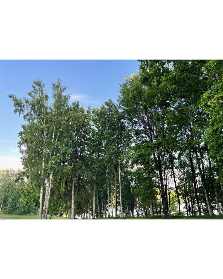 Brivdienu Maja Ezerkalni Myza Dzirtsiyems Exteriér fotografie
